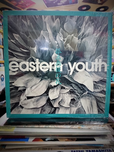 eastern youth / 孤立無援の花 LP レコード - 邦楽